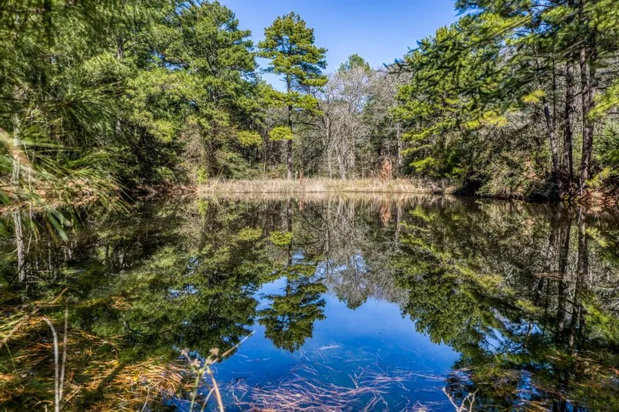 Recreational Property in Waller County, Texas