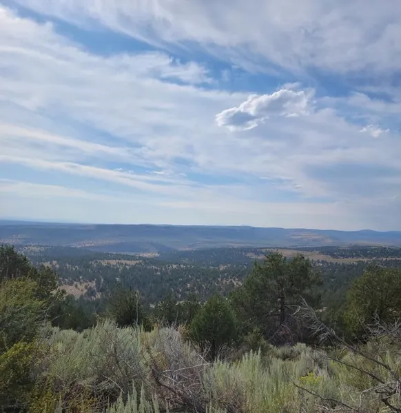 71132 Hines Logging Rd  