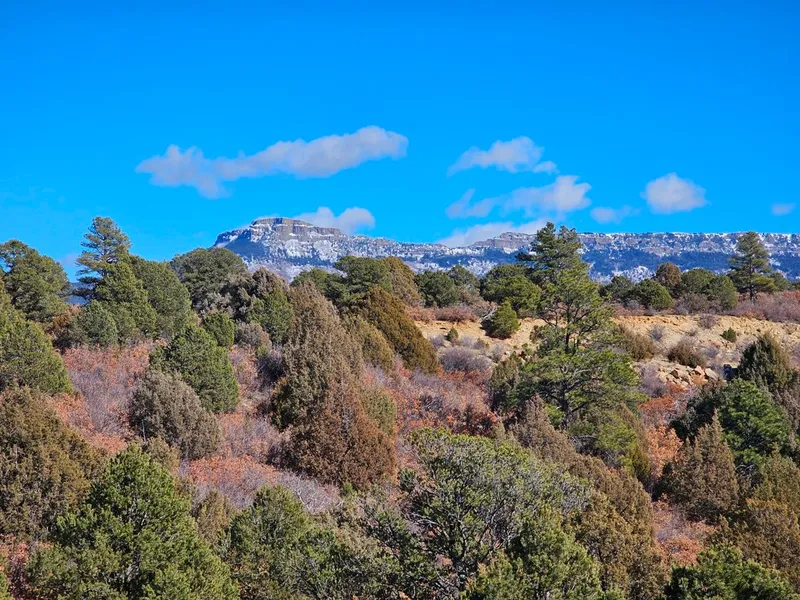 Recreational Property in Las Animas County, Colorado