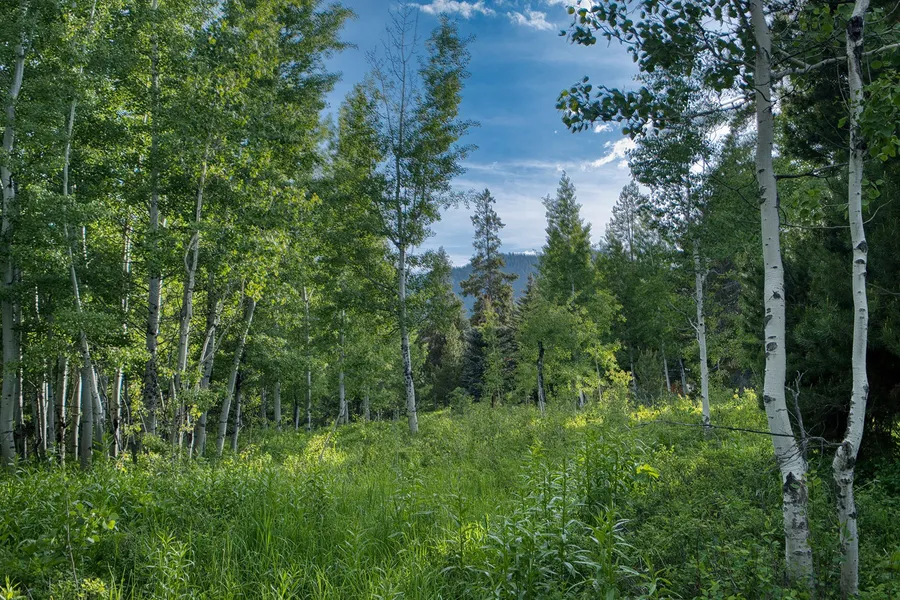 6220 W Heck-of-a-Hill Rd  