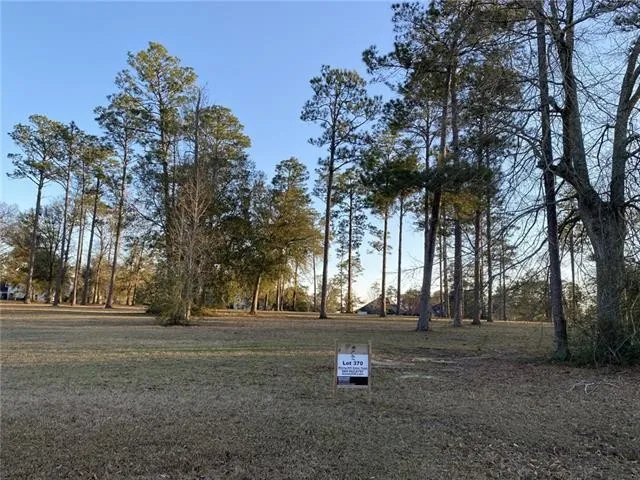 Lot 370 BALD EAGLE Dr  