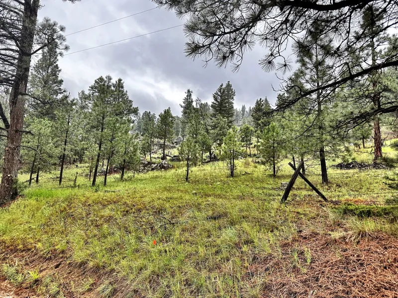 Track F3 Clancy Crk Rd  