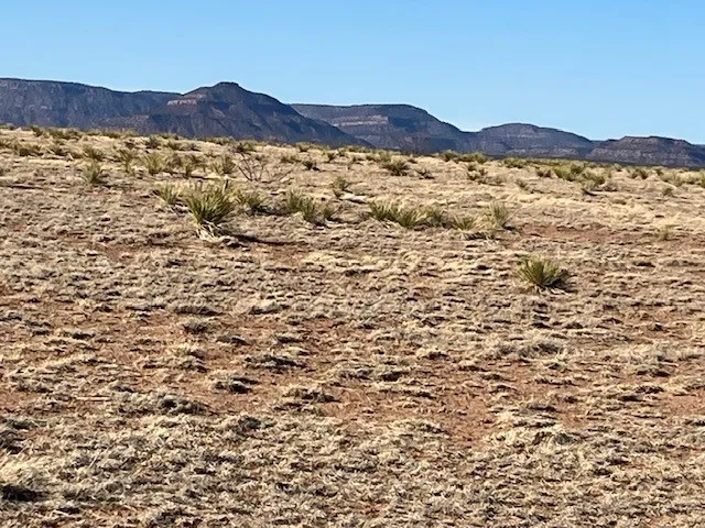 Lot 4 Ranchos Lake Conchas Subd  