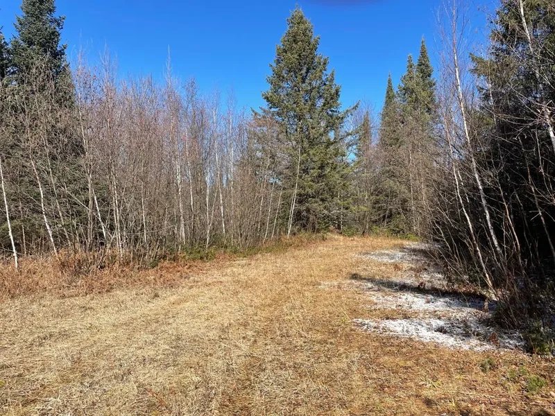 N1559 BJORKLUND RD  