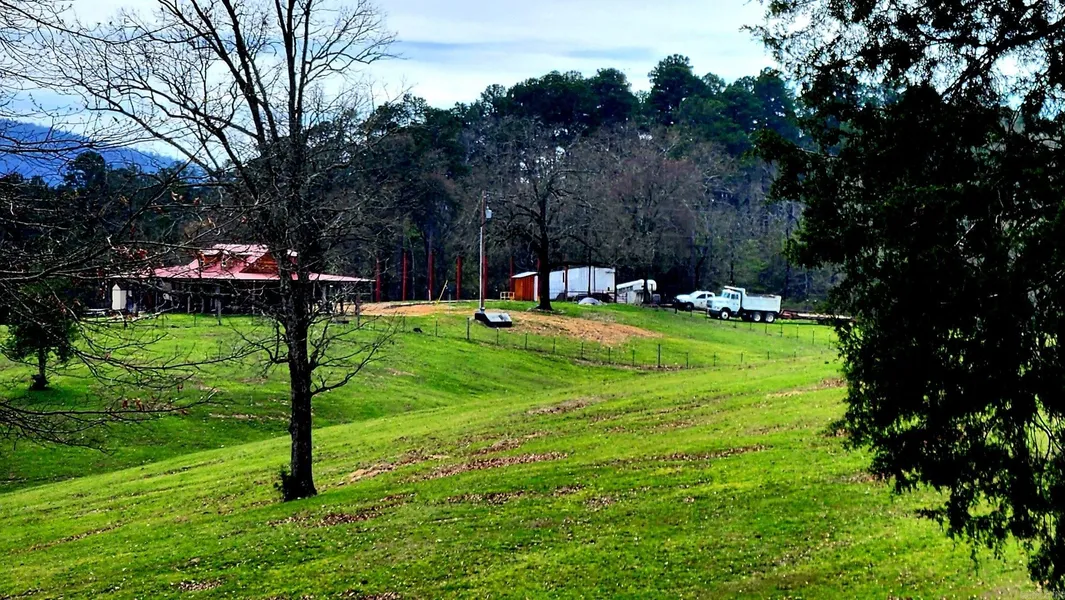 195 HOWERTON CEMETARY Rd  