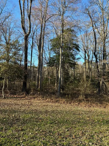 Lot 121 WOLFRIDGE Ln  