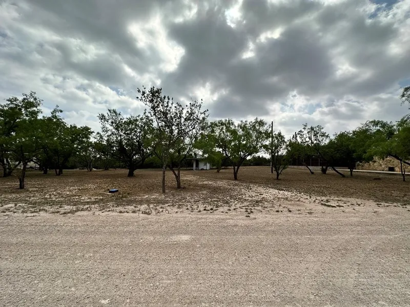 507 Driftwood Dr  