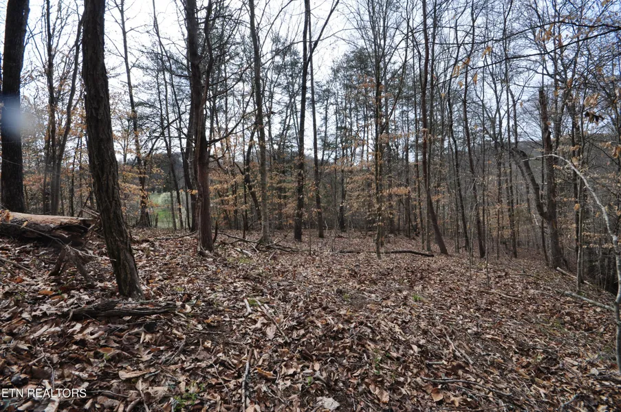 10 02 Acre Old Tazewell Pike  