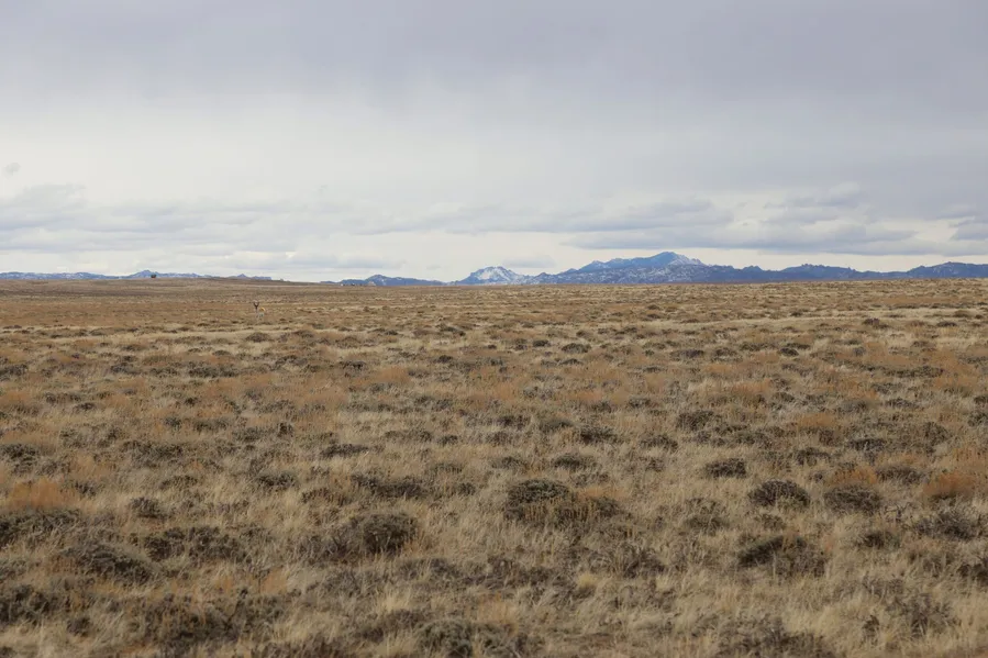 Recreational Property in Albany County, Wyoming