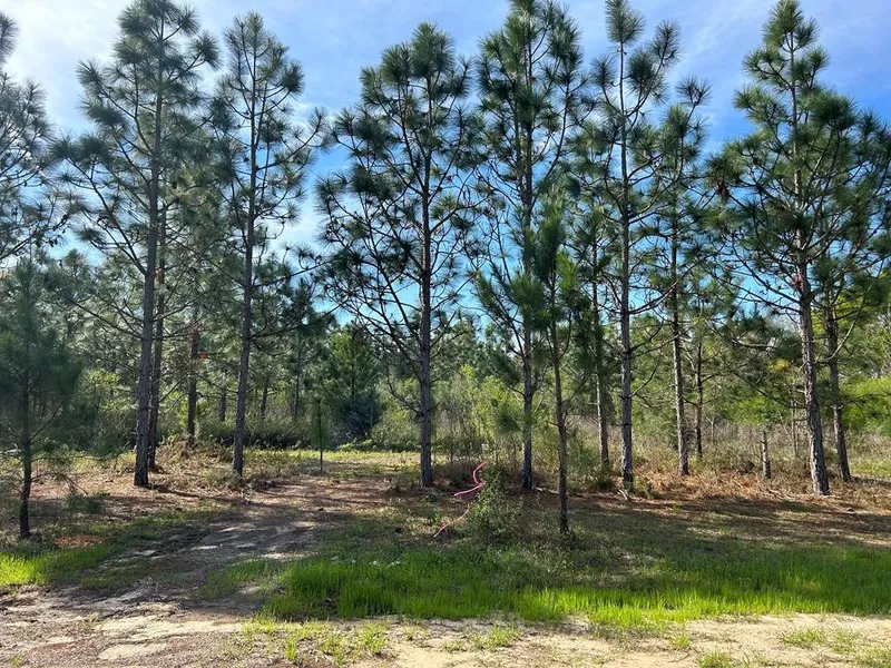 Lot 1 2 -ac Cty Rd 140  