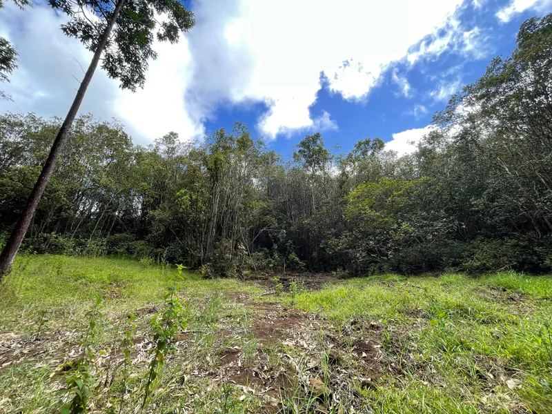 Laupahoehoe Homesteads Lot 29  
