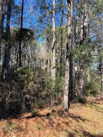 0 LYNN Dr  