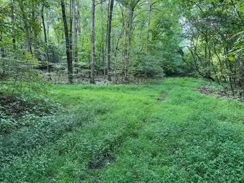 Lot 1205 1206 Lee Pl  