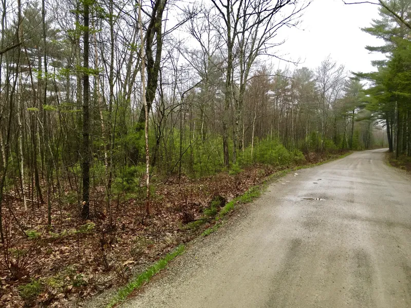 Lot 68-8 Shr Rd  