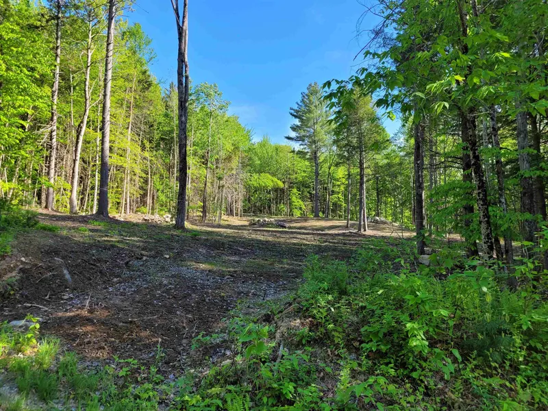 Lot 5 Victoria's Mountain Way  