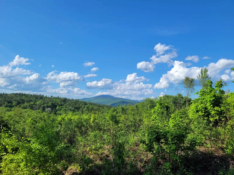 Lot 6 Victoria's Mountain Way  