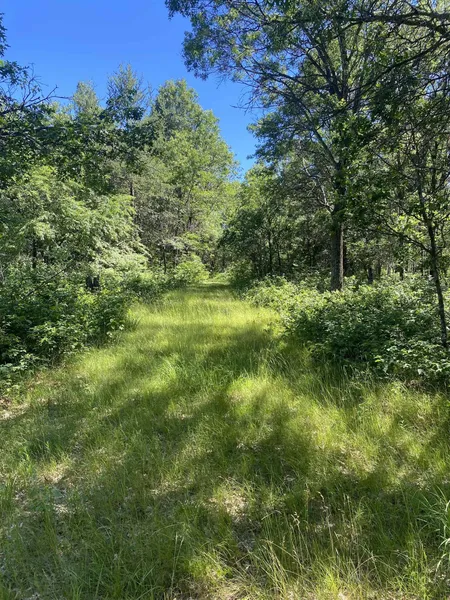 0 LYNN Hl Rd  