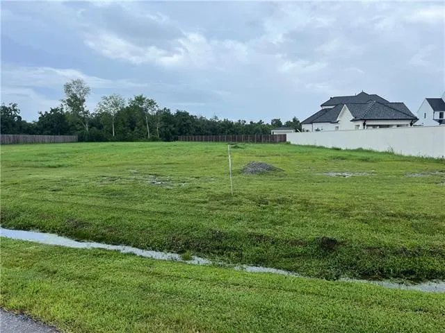 159 GREEN TRAILS DR Dr  