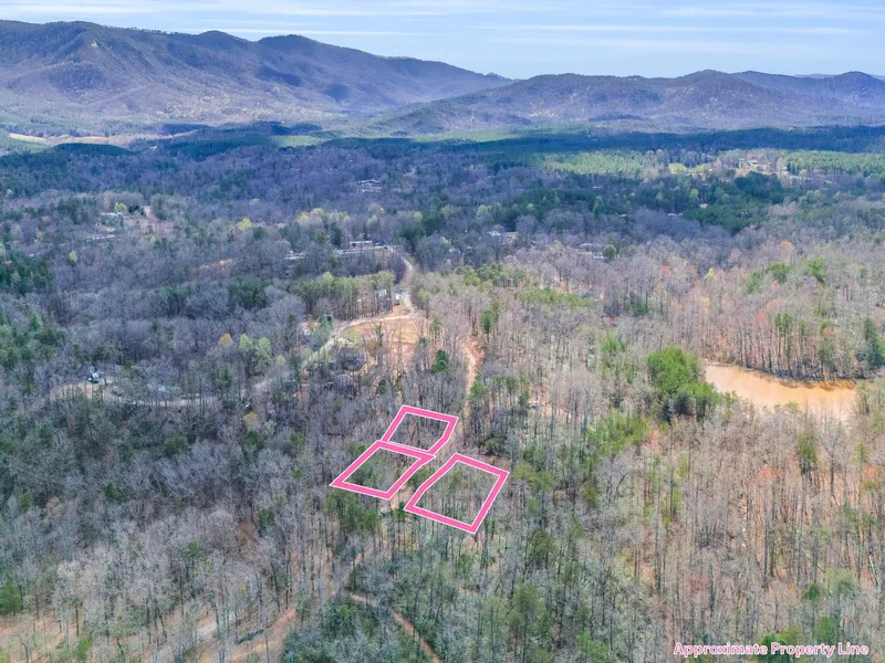 000 Forester Lane Lots 21 24 25  