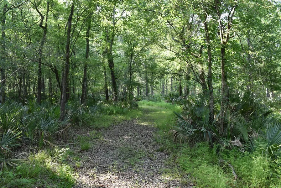 8817 Manchac Rd St Gabriel LA  