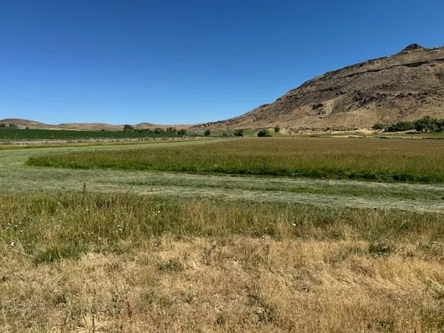 2225 Rock Spring Cyn Rd  