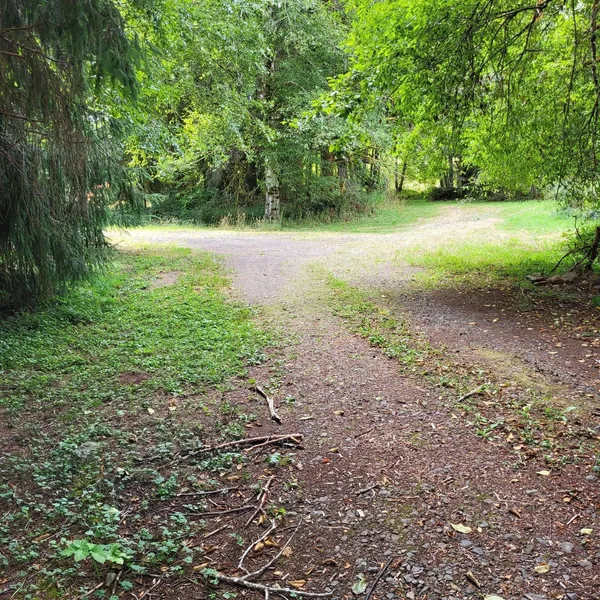 136 Upper Naselle Rd  