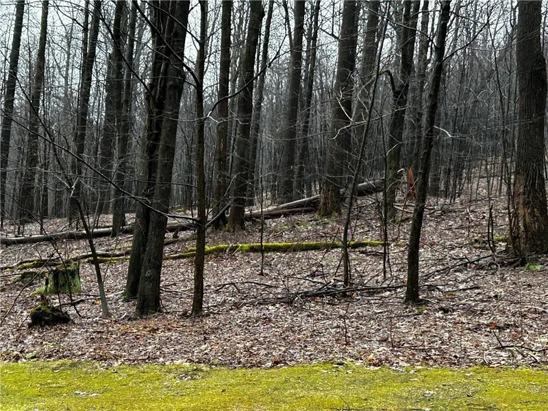 Lot 20 Pheasant Run Ln  