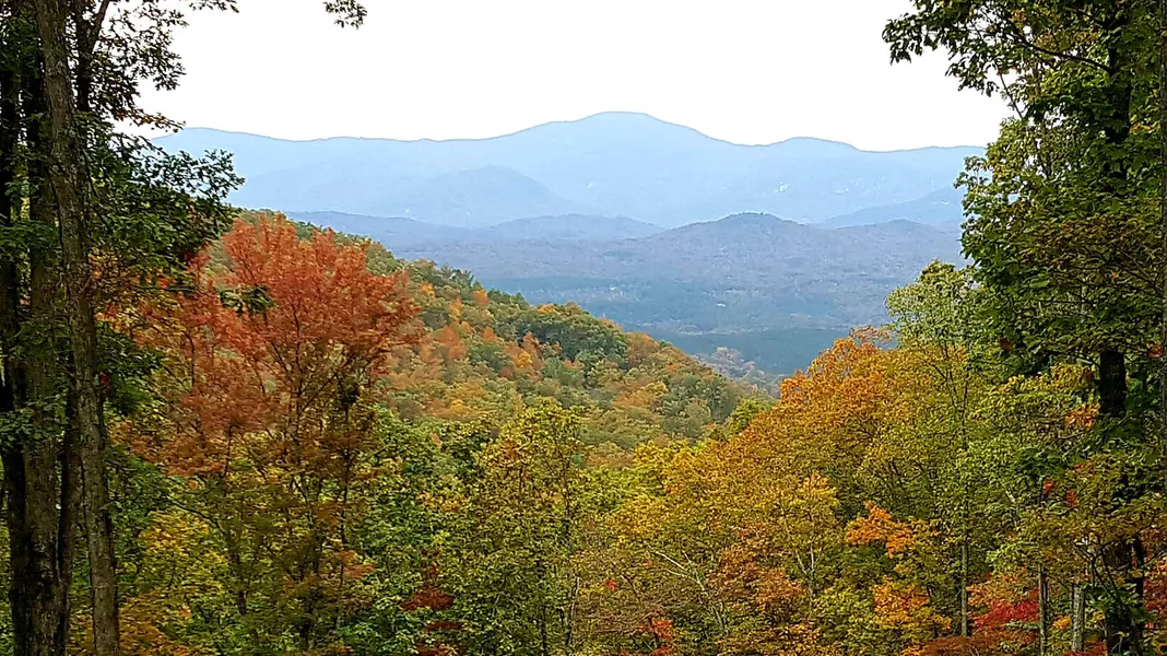 Shoal RIdge Lot Unit 4  