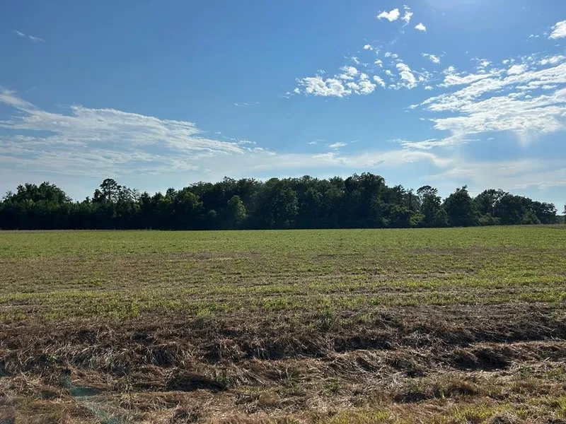 7 198-ac Lot 6 Willie Varnum Rd  