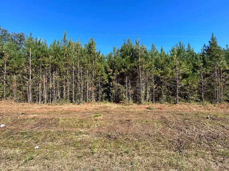 7 547-ac Lot 9 Willie Varnum Rd  