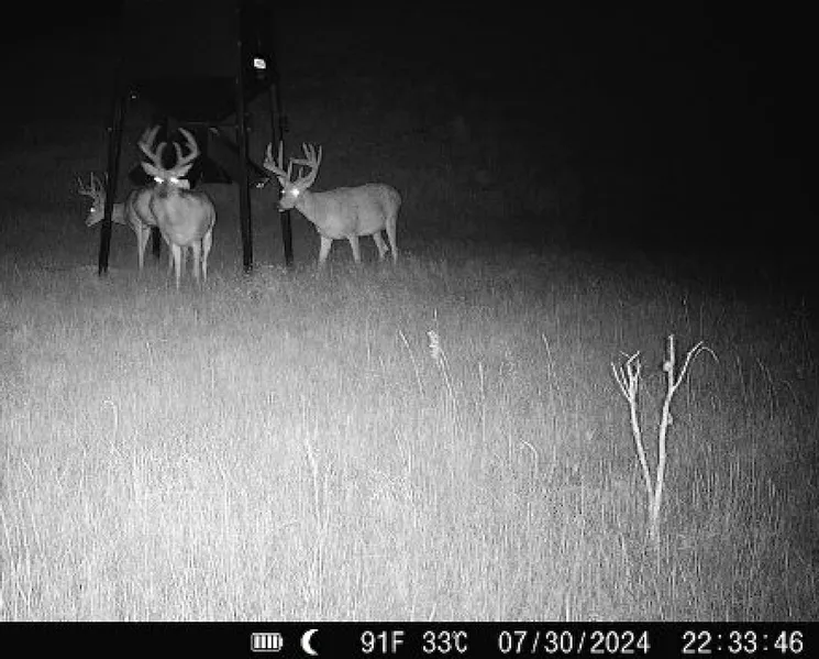 Farm Property in Ellis County, Kansas