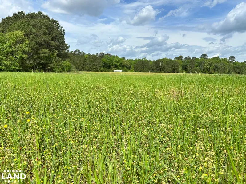 Farm Property for sale in Berkeley County, South Carolina