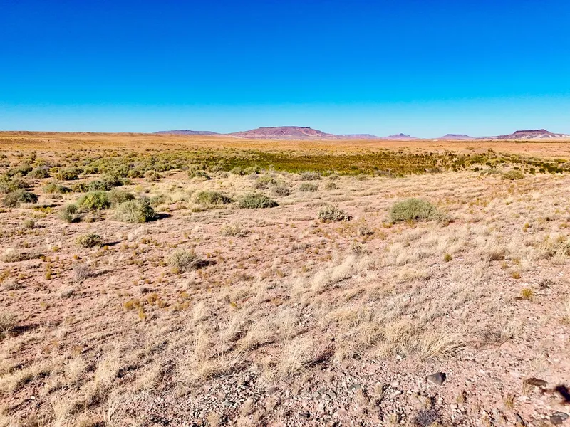 Recreational Property in Navajo County, Arizona