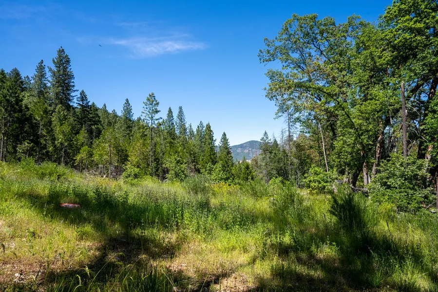 Undeveloped Land in Josephine County, Oregon