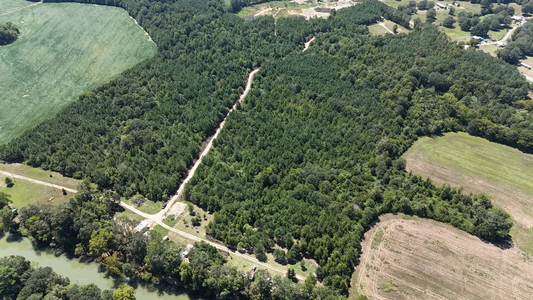 Undeveloped Land for sale in Cherokee County, Alabama