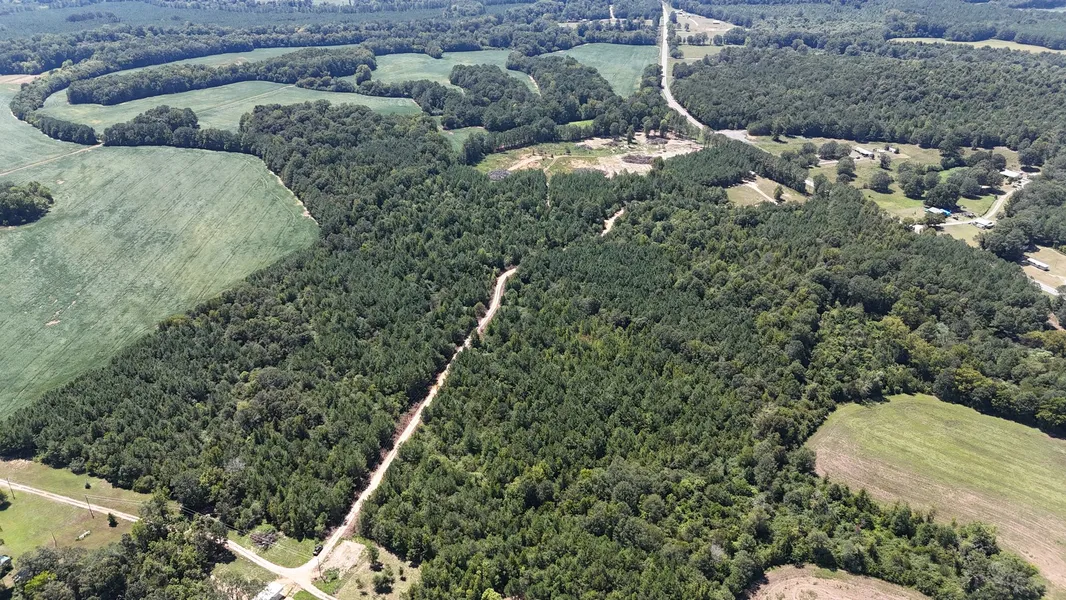 Recreational Property for sale in Cherokee County, Alabama