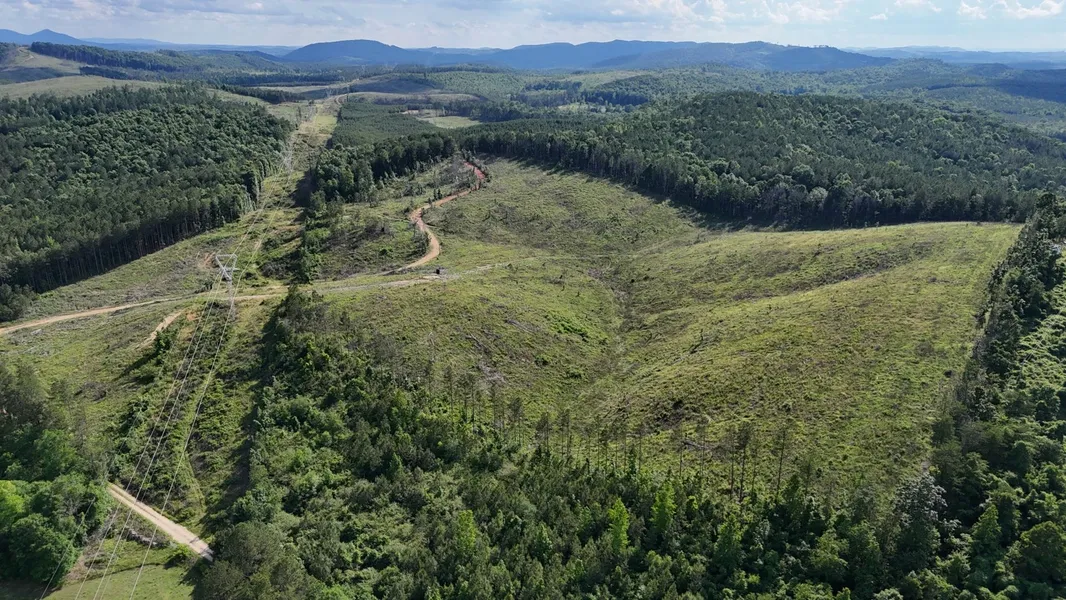 Timberland Property for sale in Cherokee County, Alabama