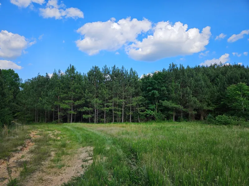 Recreational Property for sale in Cherokee County, Alabama