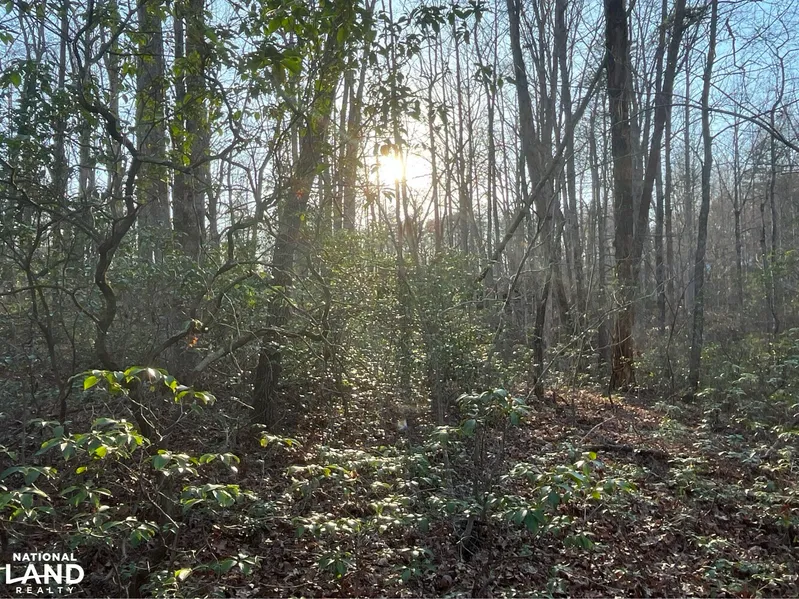 Residential Property for sale in McDowell County, North Carolina