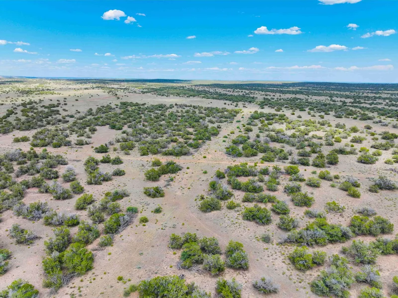 Recreational Property for sale in Apache County, Arizona