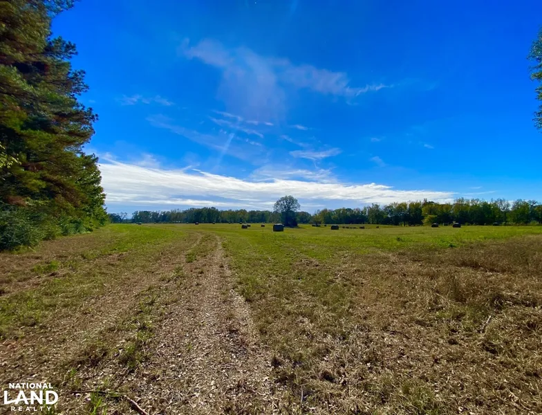 Recreational Property in Hale County, Alabama