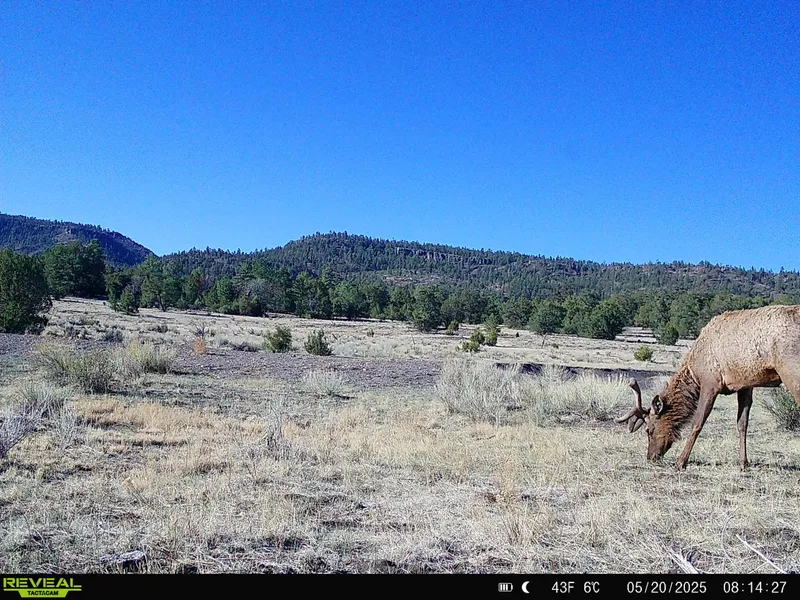 Recreational Property for sale in Catron County, New Mexico