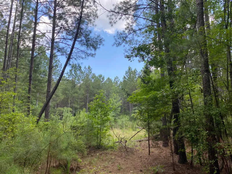 Recreational Property for sale in Laurens County, South Carolina