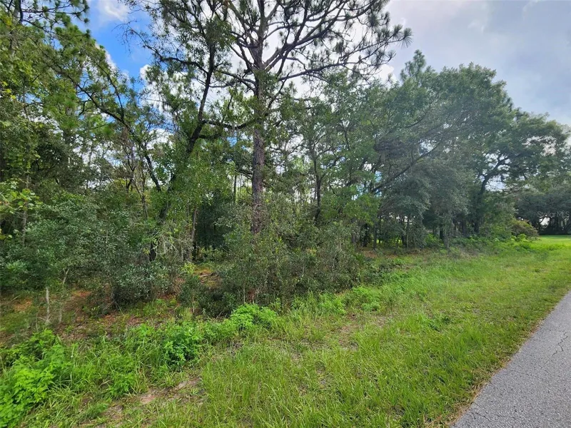 579 W OLYMPIA STREET Hernando - 1 5611147422