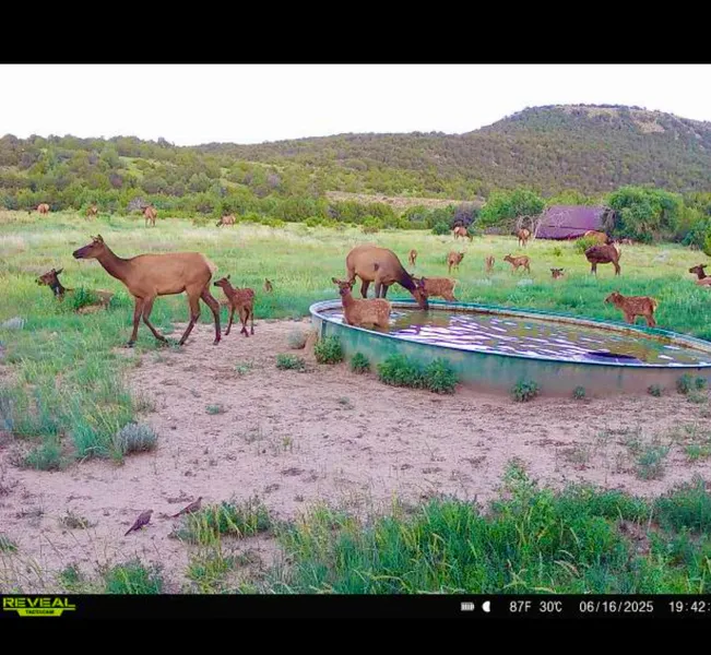Ranch Property for sale in Las Animas County, Colorado