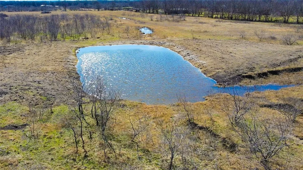 Undeveloped Land for sale in Navarro County, Texas