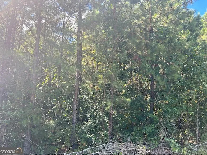 Undeveloped Land for sale in Harris County, Georgia