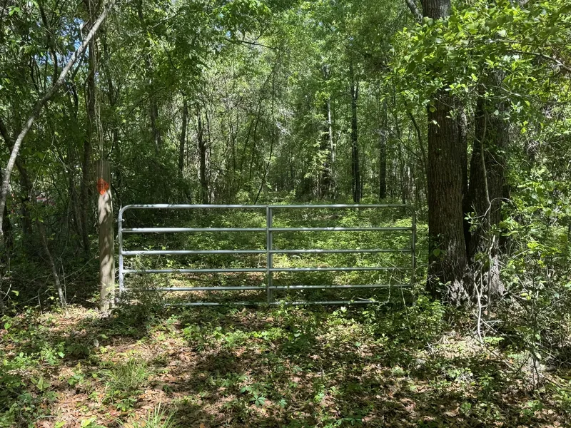 Recreational Property for sale in Colleton County, South Carolina