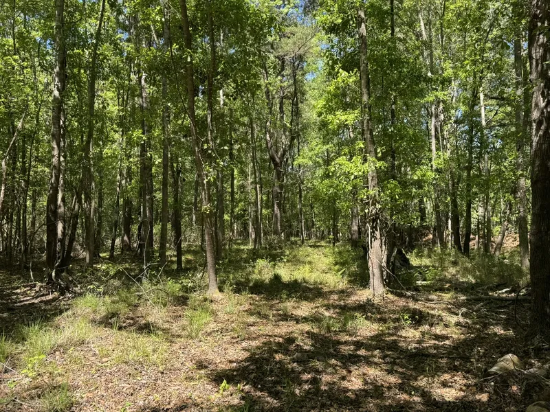 Recreational Property for sale in Colleton County, South Carolina