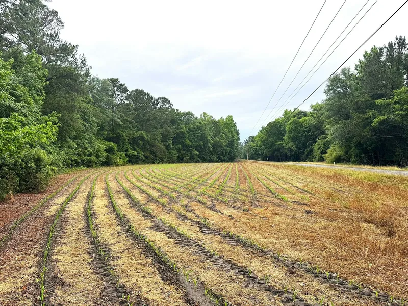 Recreational Property for sale in Dorchester County, South Carolina